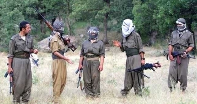 Yakalanan PKK'lıların Üzerinden Çıkan Fotoğraflar 16