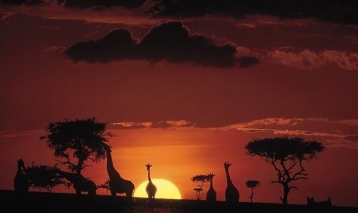 En Güzel Safari Yolculukları 1