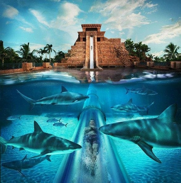 Dünyanın En Muhteşem Aquaparkları 8