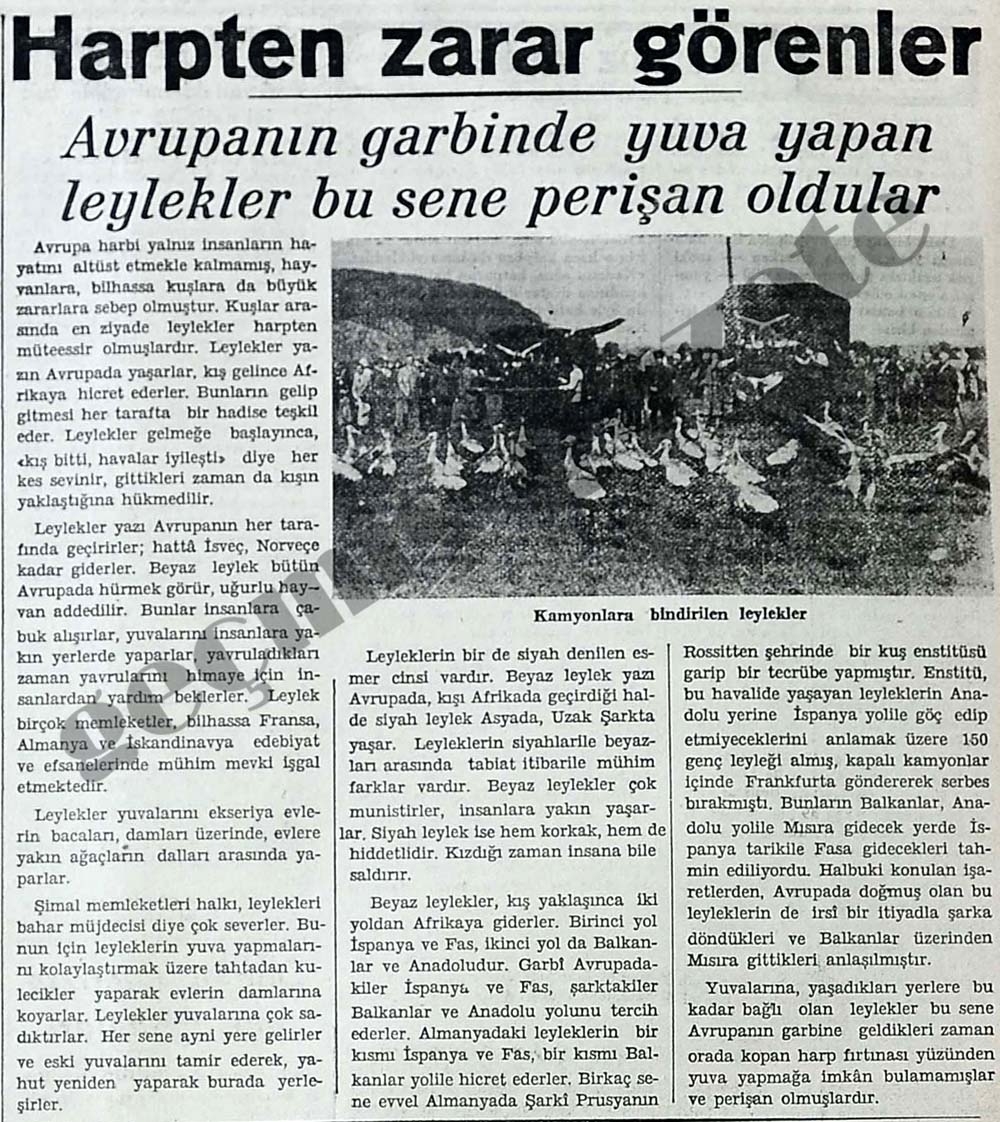 2.Dünya Savaşında Ülkemizdeki Gazete Manşetleri 32