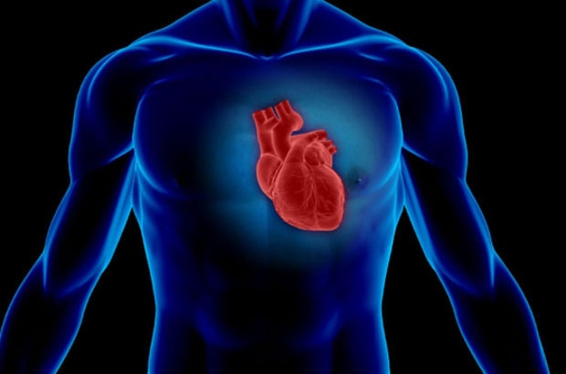 Kalp Sağlığını Korumak İçin Yapılması Gerekenler 6