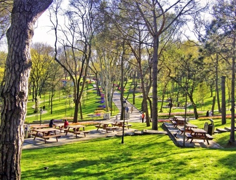 İstanbul'daki En İyi Piknik Alanları 5