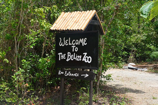 Belize'da Gezip Görmeniz Gereken Yerler 4