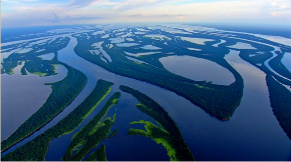 National Geographi'nin Gözünden Amazon Ormanlarının Büyüsü 12