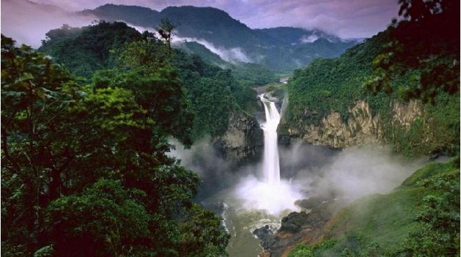 National Geographi'nin Gözünden Amazon Ormanlarının Büyüsü 18