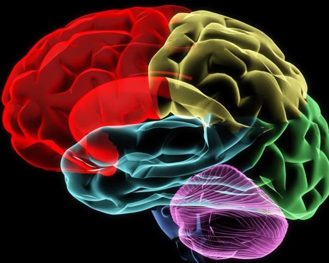 İnsan Beyninin Farklı Özellikleri 2