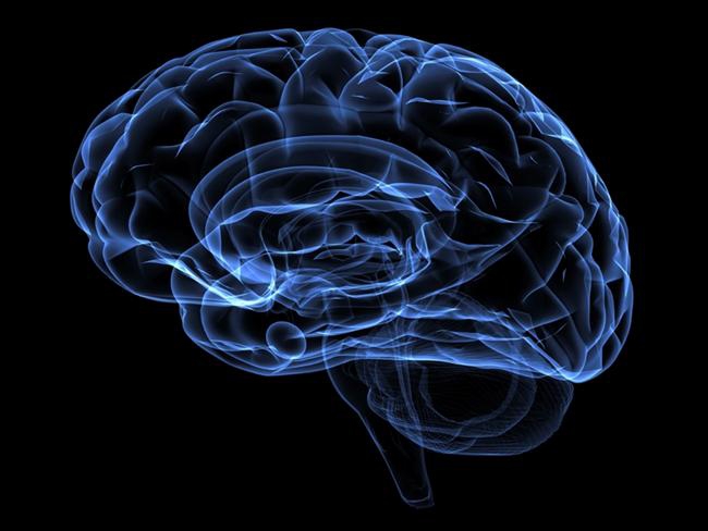 İnsan Beyninin Farklı Özellikleri 4