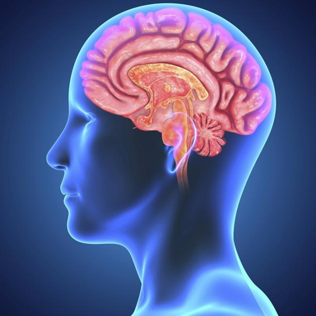 İnsan Beyninin Farklı Özellikleri 8
