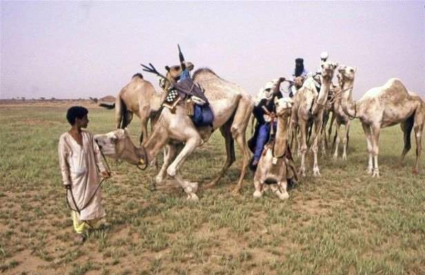 Kadınların Yönettiği Toplum: Tuaregler 12