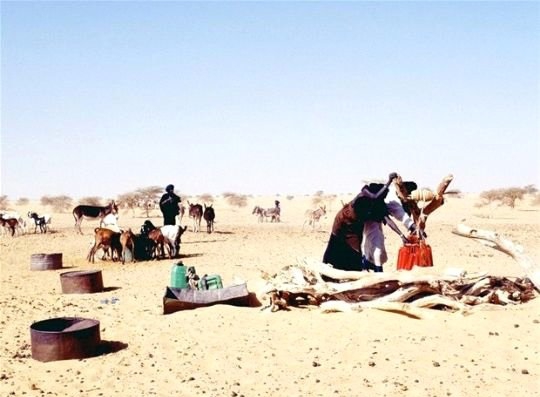 Kadınların Yönettiği Toplum: Tuaregler 5