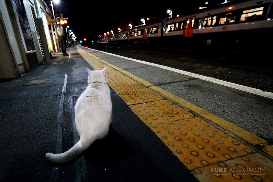 Londra'da Tren Bekleyenlerin Harika Fotoğrafları 11