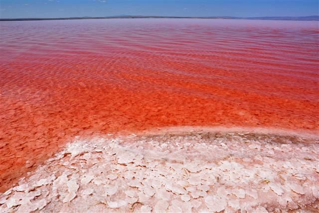 Tuz Gölü Artık Kırmızı 12