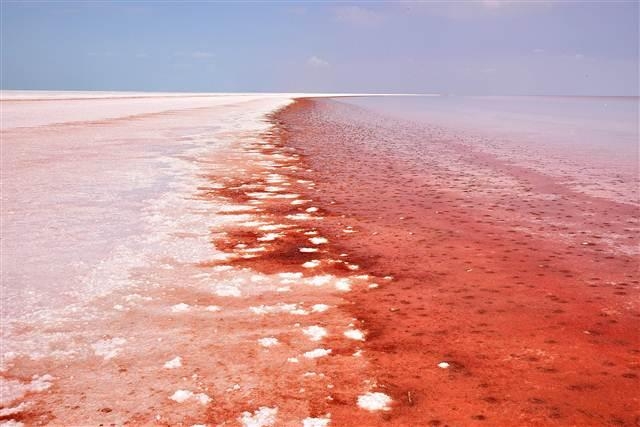 Tuz Gölü Artık Kırmızı 4