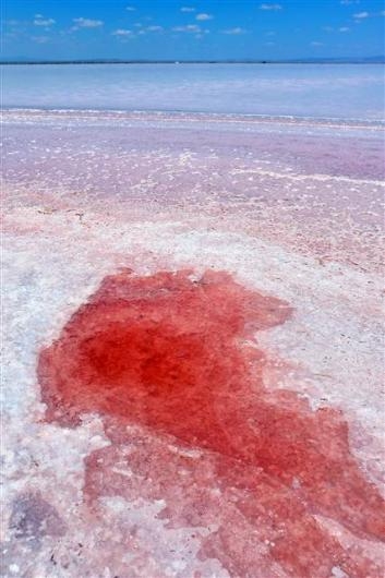 Tuz Gölü Artık Kırmızı 5