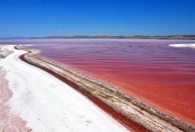 Tuz Gölü Artık Kırmızı 9