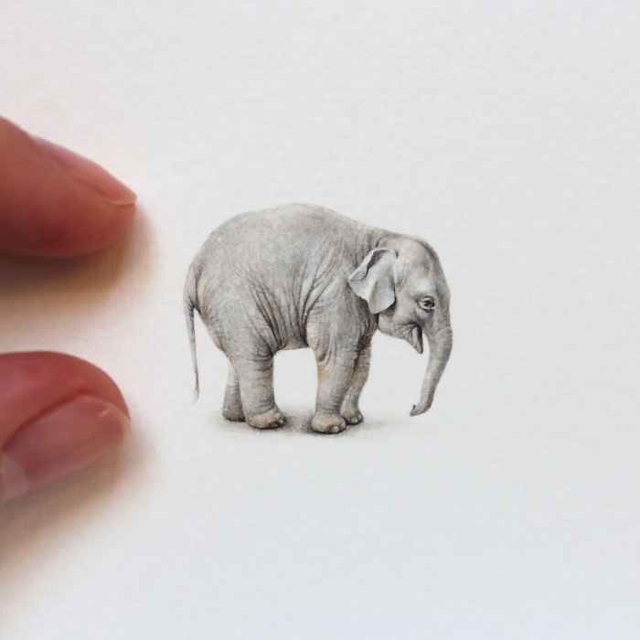 Minyatür Hayvan Çizimleri 10