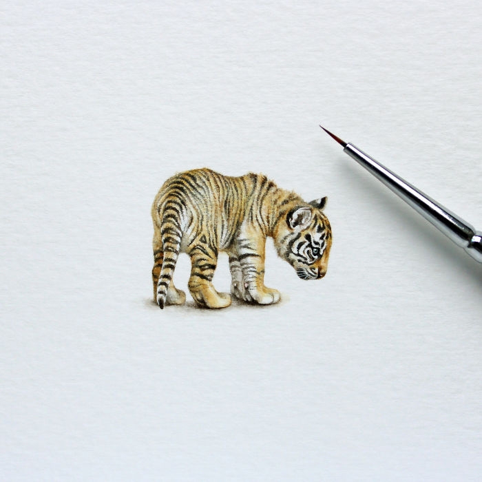 Minyatür Hayvan Çizimleri 14