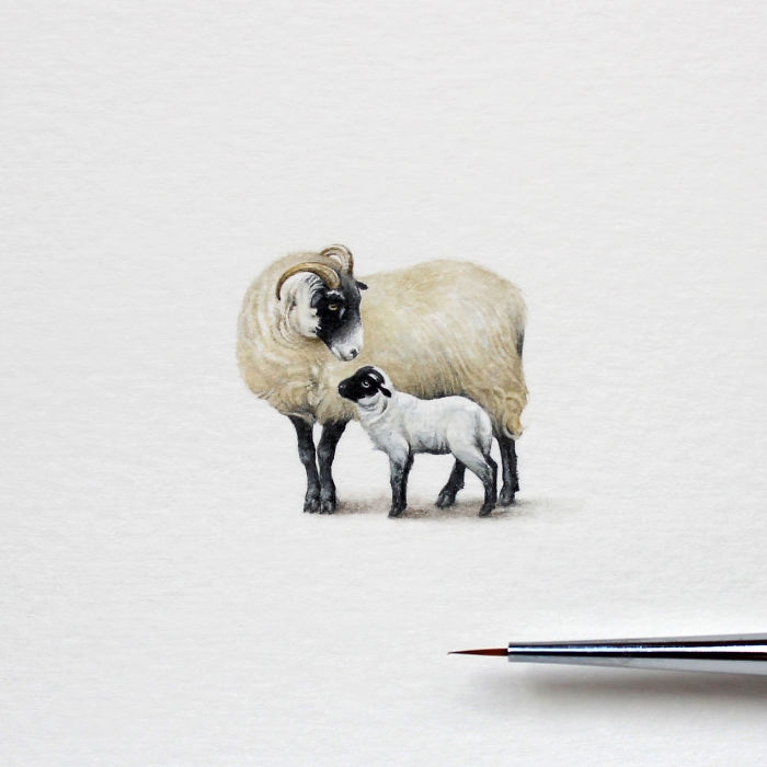 Minyatür Hayvan Çizimleri 15