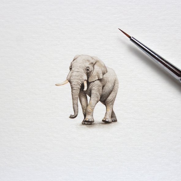 Minyatür Hayvan Çizimleri 5