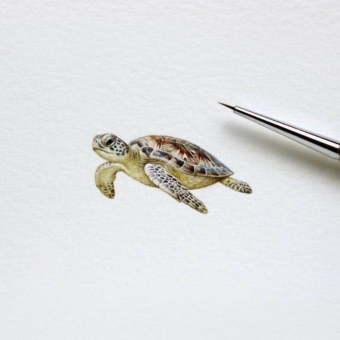 Minyatür Hayvan Çizimleri 8