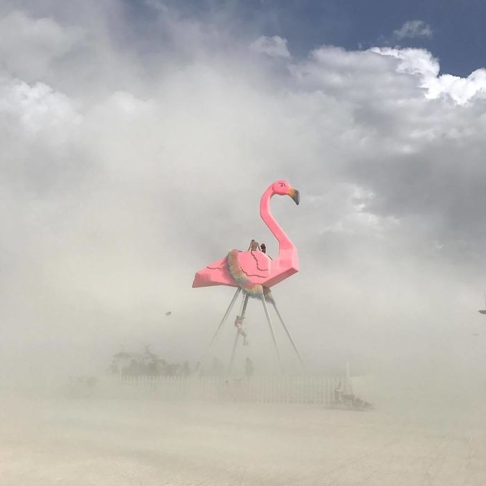 Burning Man 2017'den Renkli Kareler 30