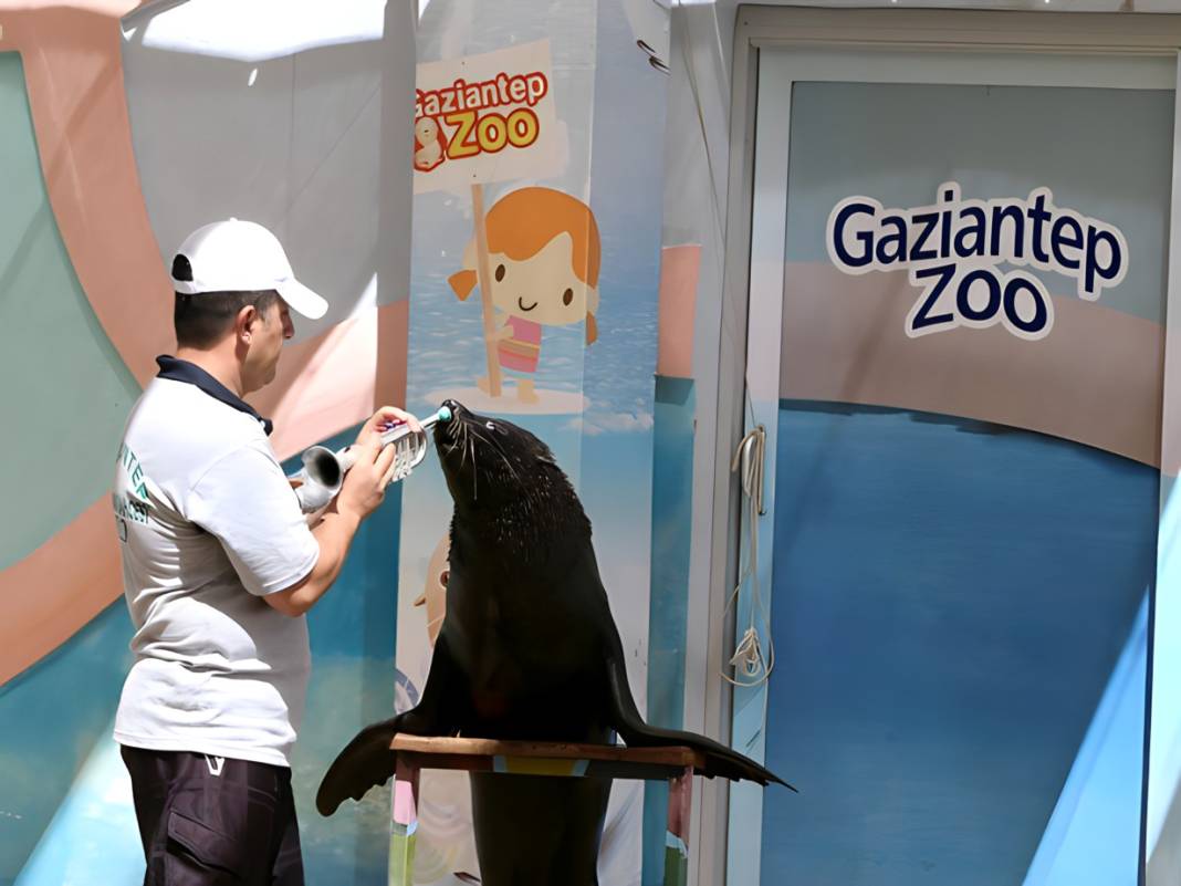 Türkiye'nin En Büyüğü: Gaziantep Hayvanat Bahçesini Keşfet! 4
