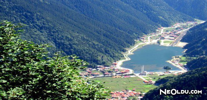 Trabzon'un Meşhur Lezzetleri