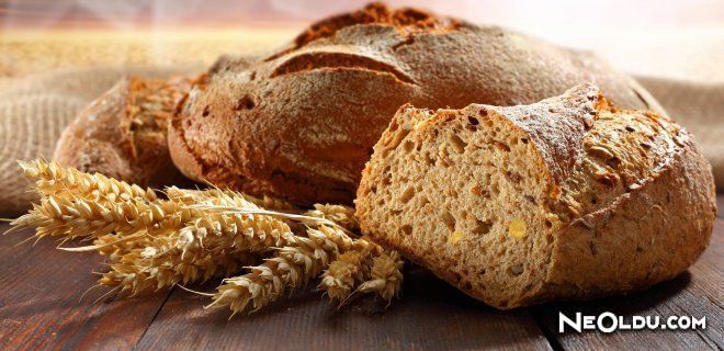 Neden Tam Buğday Ekmeği Tüketilmeli?
