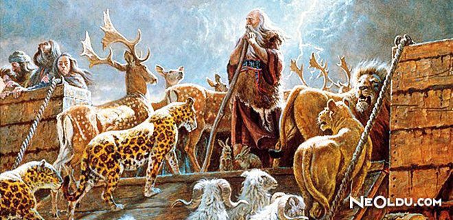 Rüyada Nuh Peygamber'i Görmek Ne Anlama Gelir?