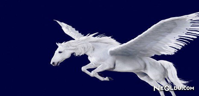 Falda Pegasus Görmek Ne Anlama Gelir