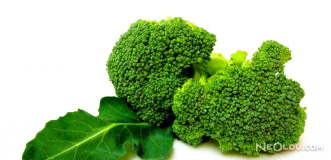 Kanser Savaşçısı Brokoli