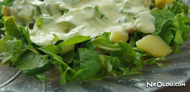 Yoğurtlu Roka Salatası Tarifi