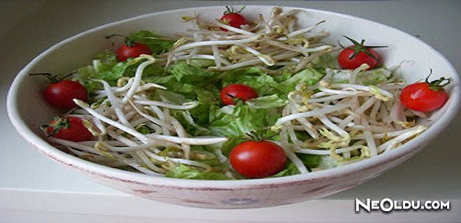 Soya Filizi Salatası Tarifi