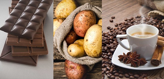 Çikolata, Patates ve Kahve 38 Yıl İçinde Yok Olabilir