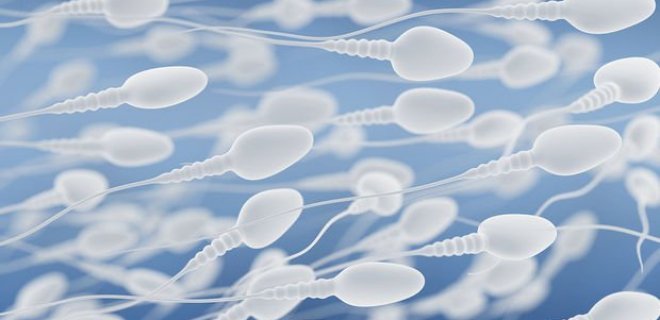 Sperm Sayısını Arttıran 10 Yiyecek
