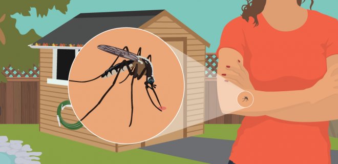 Sivrisineklerden Kurtulmanın 6 Doğal Yolu