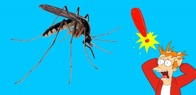 Sivrisinekler Tarafından Taşınan Hastalıklar