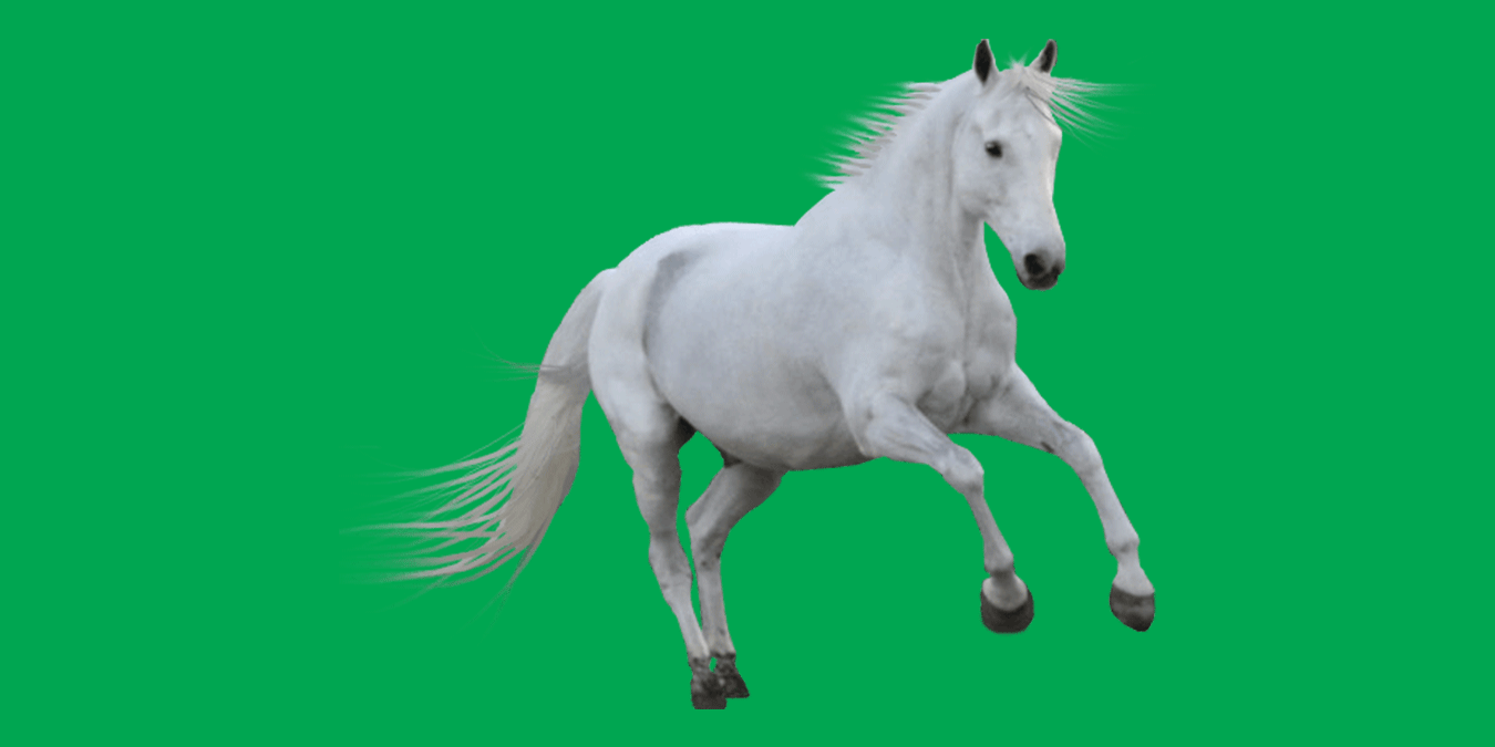 Rüyada Beyaz At Görmek: Bereket ve Başarı