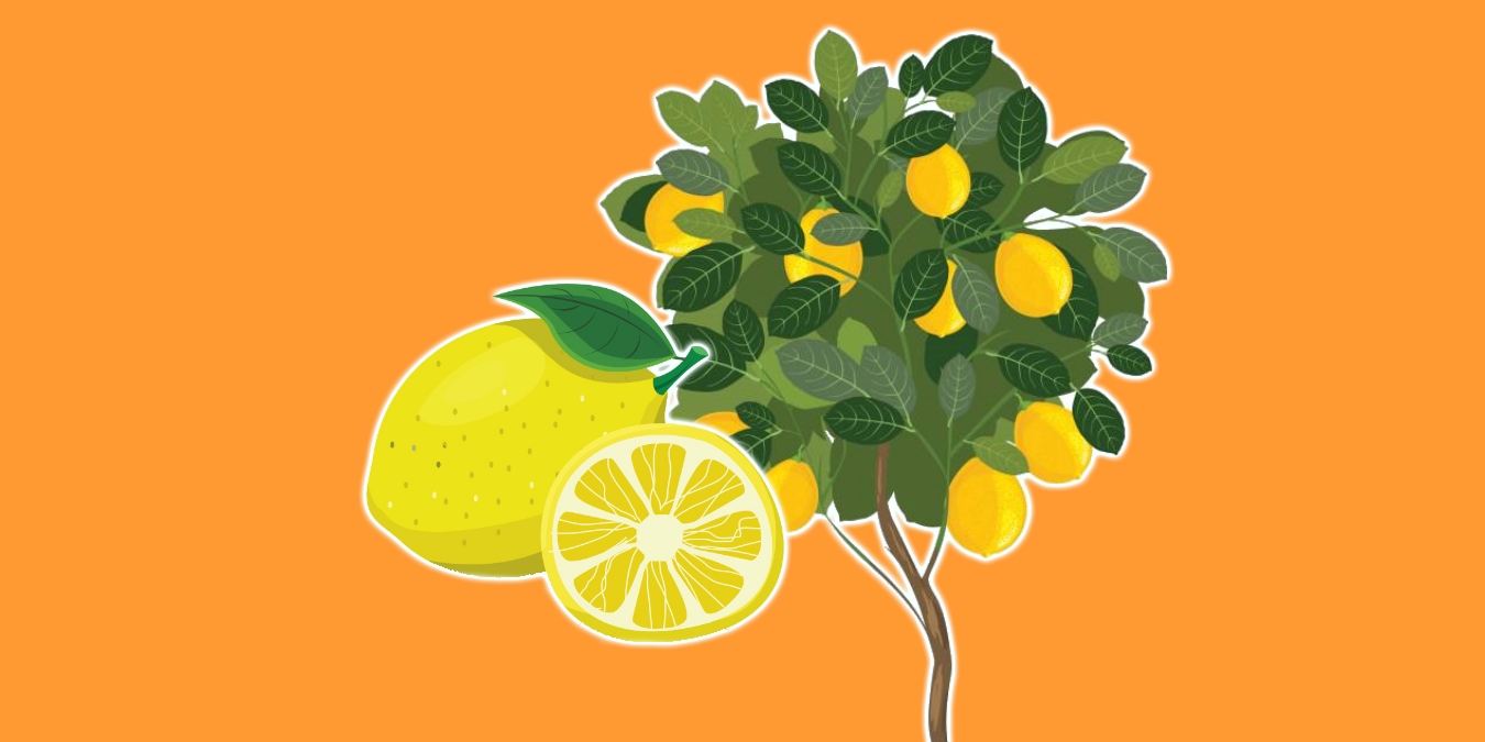 Rüyada Limon Ağacı Görmek Ne Anlama Gelir?