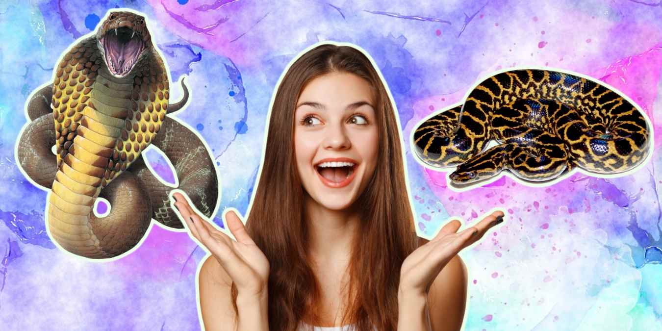 Yılanlar Hakkında Daha Önce Duymadığınız En İlginç 20 Bilgi!