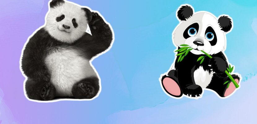 Dünya'nın En Sevimli Canlıları Pandalar Hakkında 15 Şaşırtıcı Bilgi!