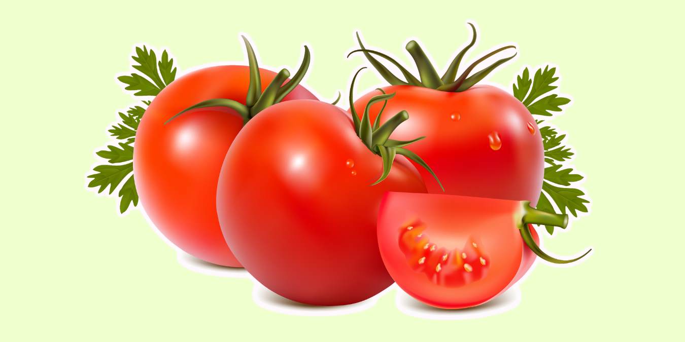 Векторный помидор