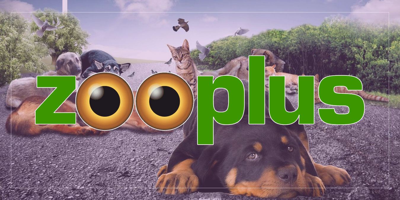 Popüler Çevrimiçi Pet Shop Sitesi: Zooplus Türkiye Kapatıldı