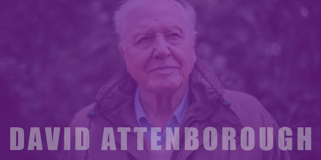David Attenborough Gezegenimizden Bir Yaşam Konusu ve Hakkında Bilinmesi Gerekenler