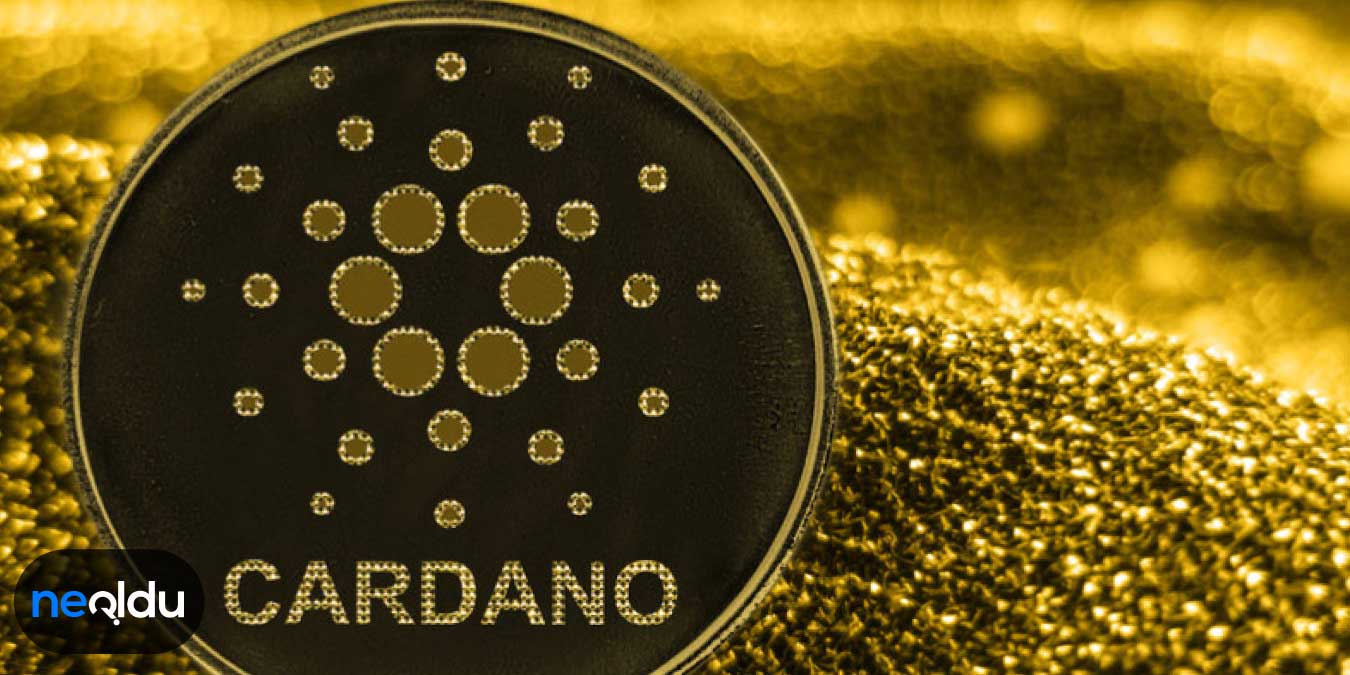 Cardano (ADA) Coin Nedir?