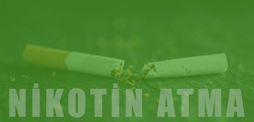 Nikotini Vücuttan Temizlemenin 8 Bitkisel Yöntemi!