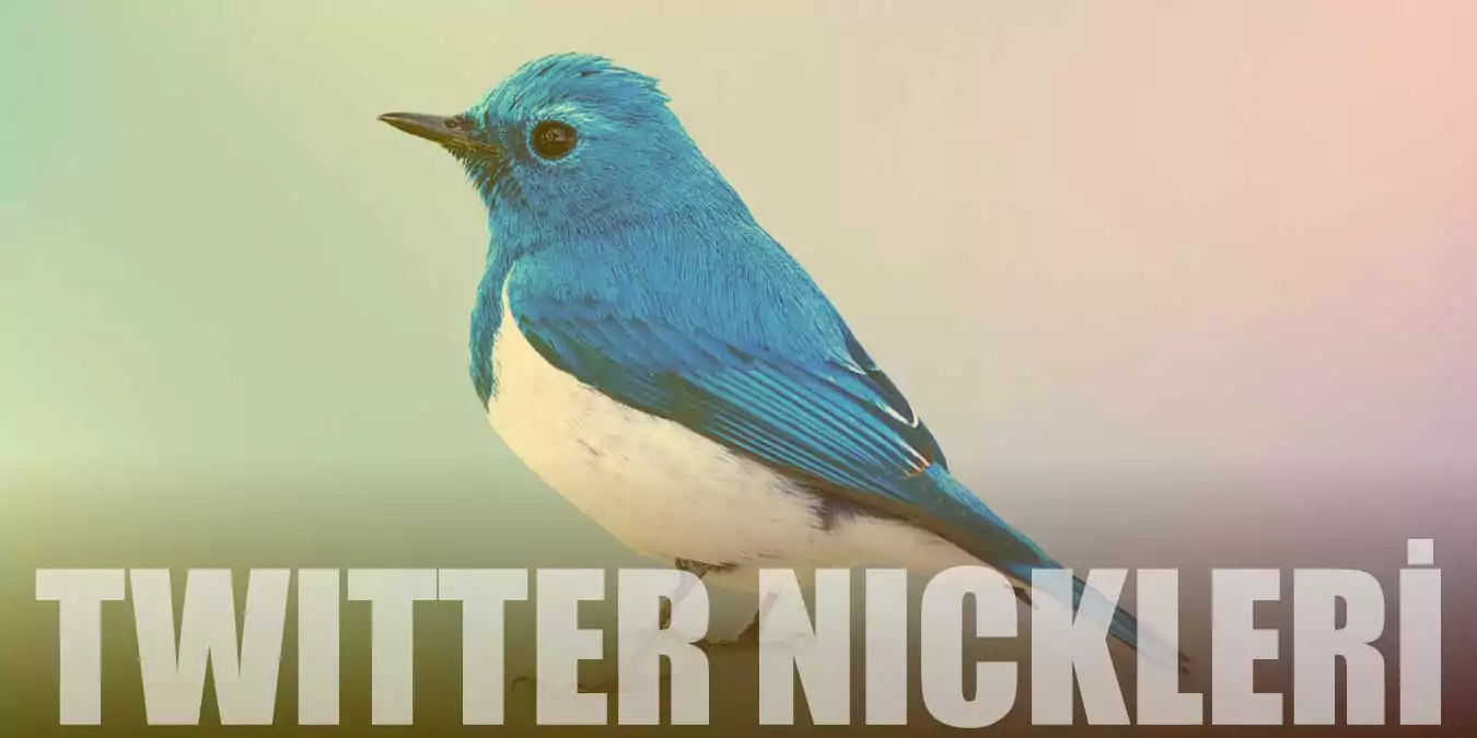 Twitter Nickleri | Daha Önce Hiç Görmediğiniz 1000+ Nick!