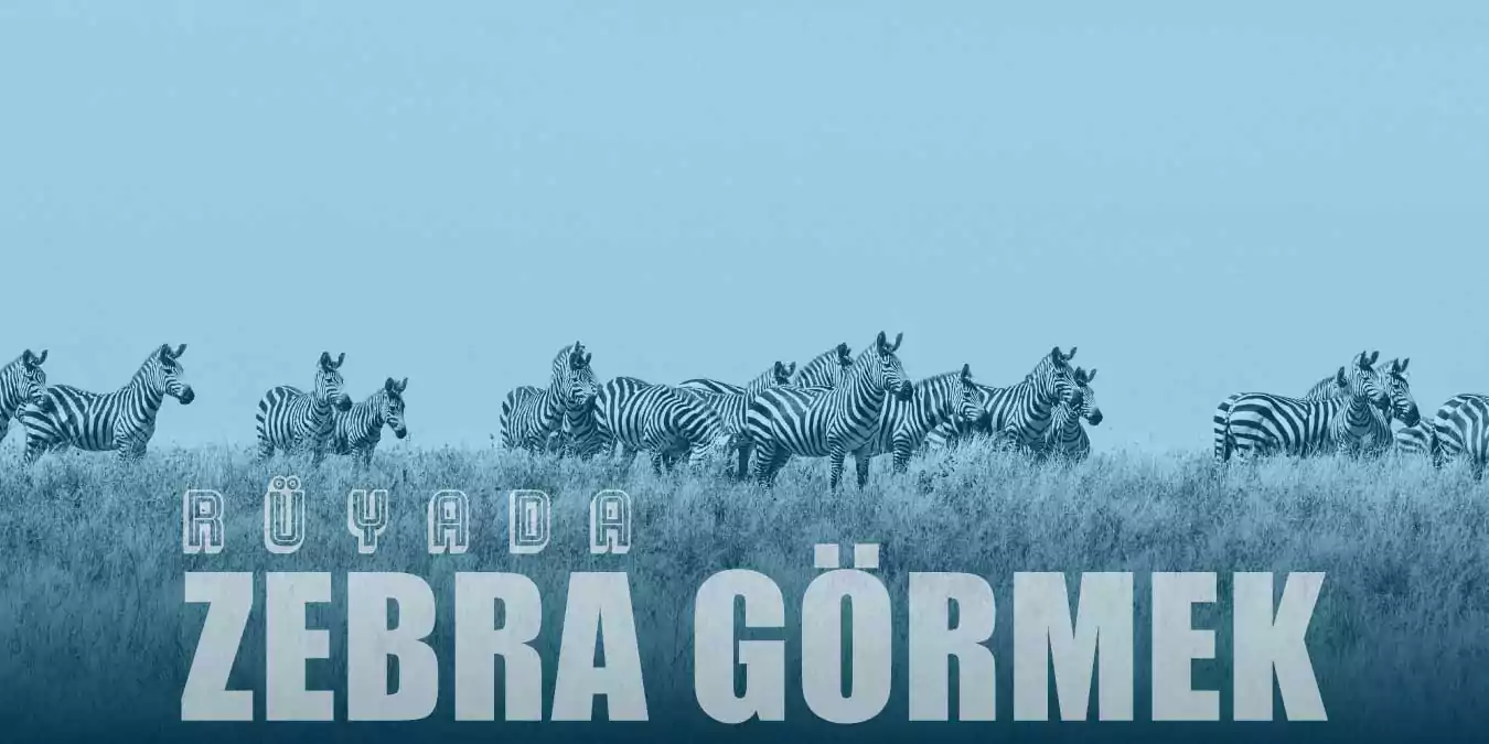 Rüyada Zebra Görmek Ne Anlama Gelir?