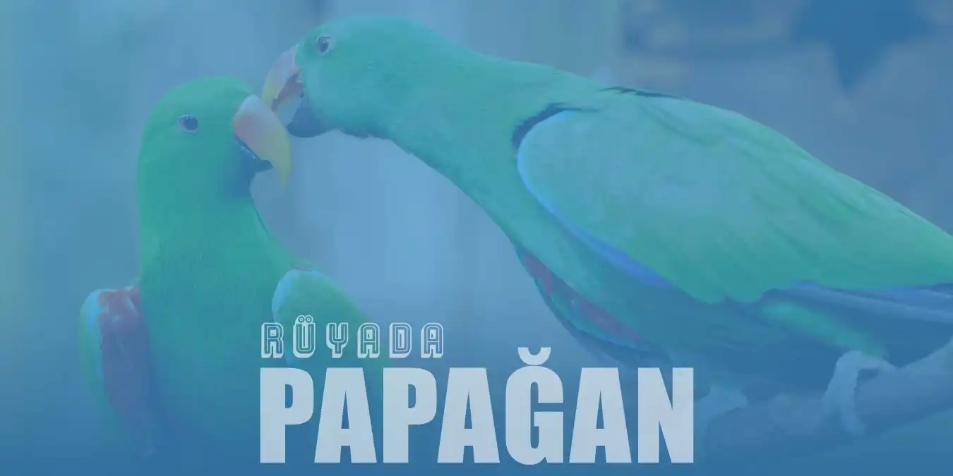 Rüyada Papağan Görmek - Yeşil ve Mavi Papağan Ne Demektir?