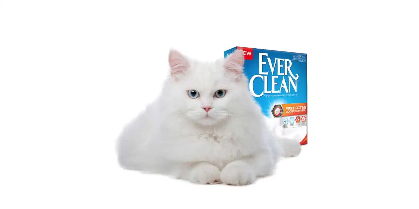 Ever Clean Kedi Kumu  Çeşitleri, Yorumları & İncelemesi